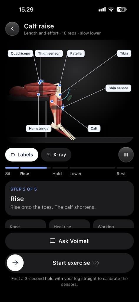 Calf raise screen: the seated leg with the thigh and shin sensors labelled, and the Sit, Rise, Hold, Lower, Rest steps.